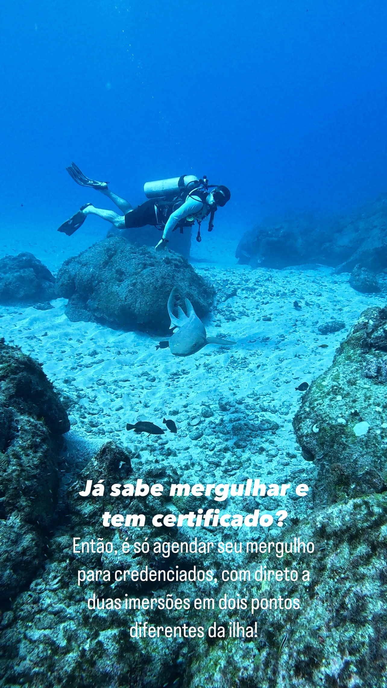 Mergulho de Cilindro Imagem 2