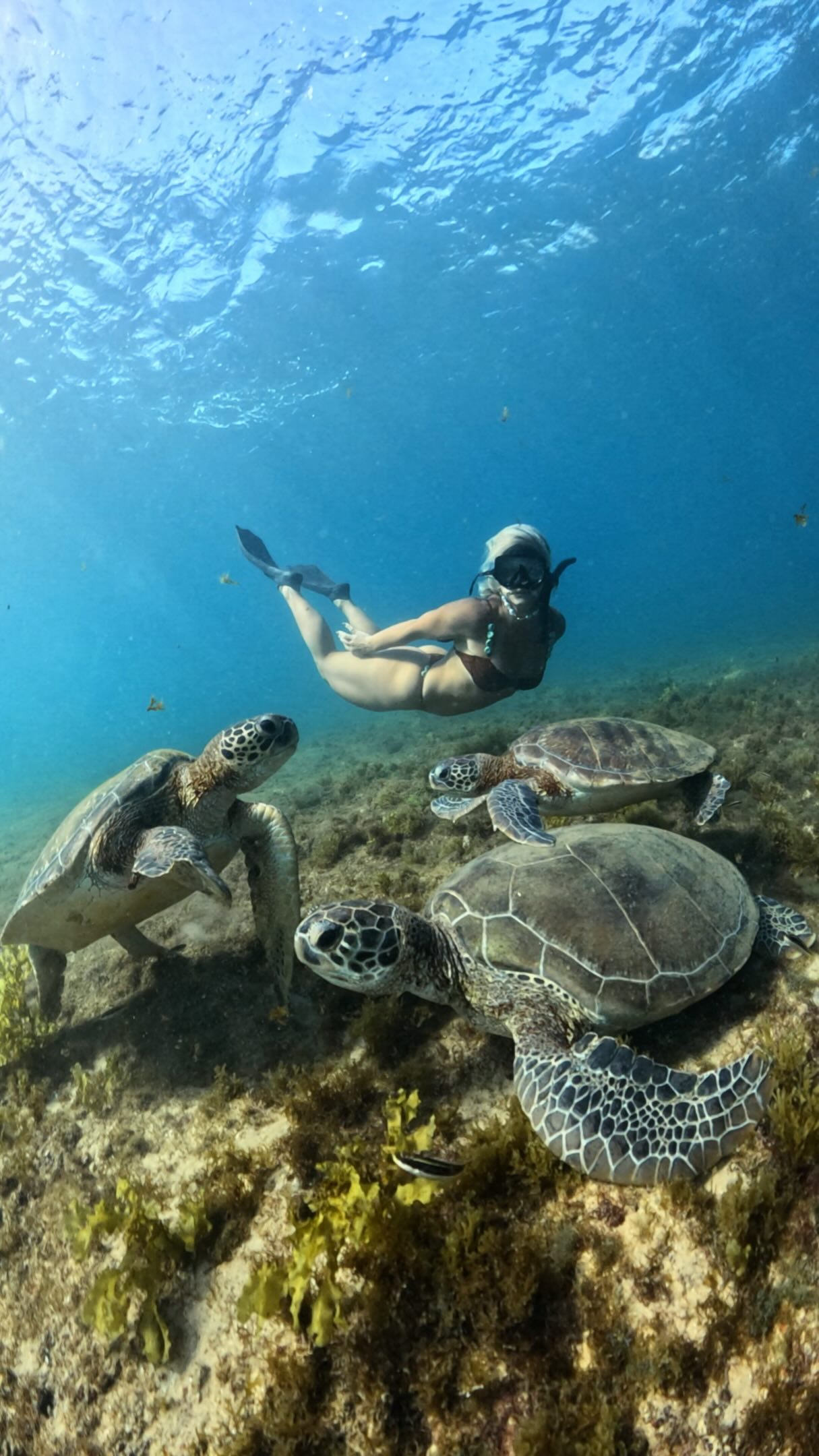 Mergulho Snorkel Imagem 1