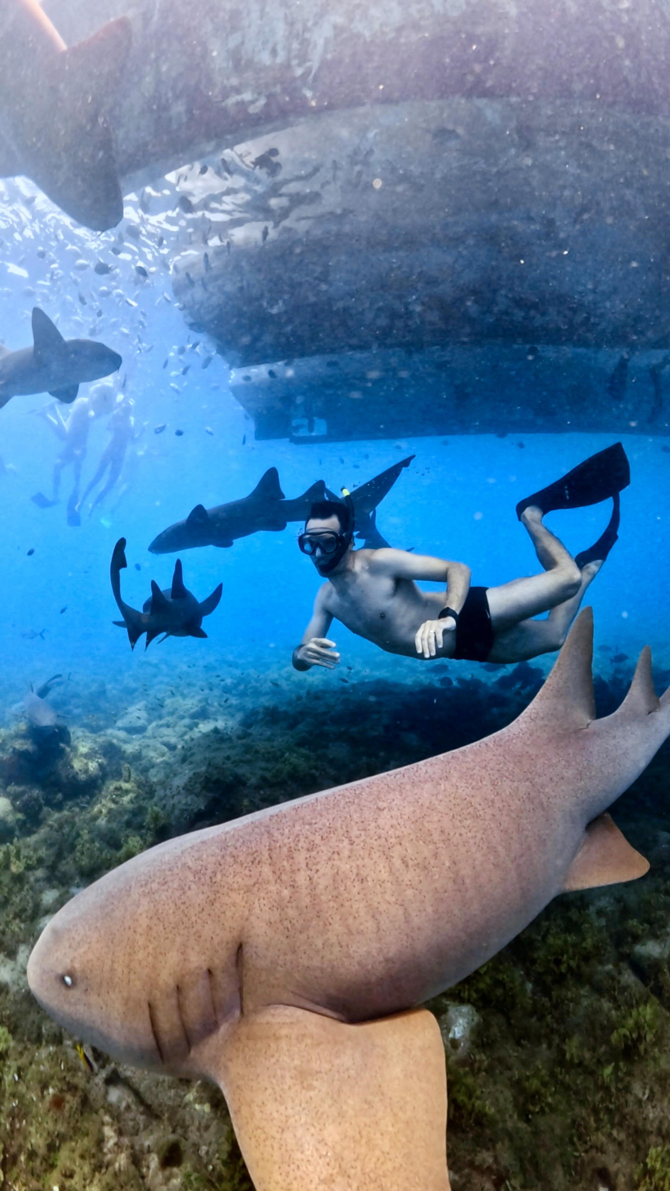 Mergulho Snorkel Imagem 2